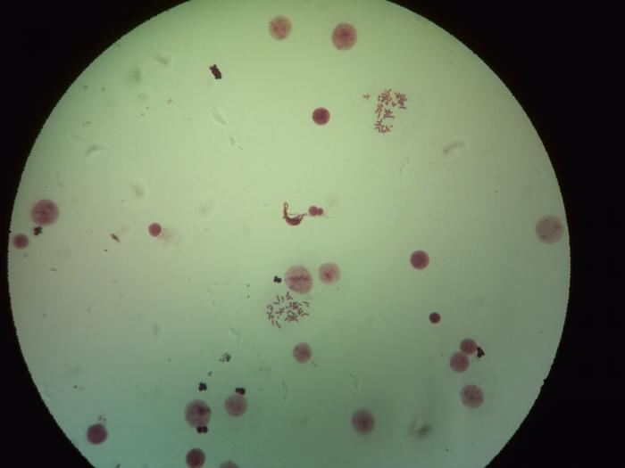 IMAG0014