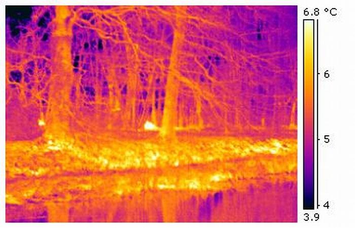 ir_root_036-1