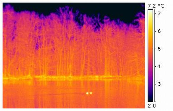 ir_root_032-1