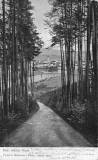 Psek 1919